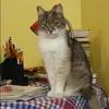 Отзыв от Кристина Сафонова